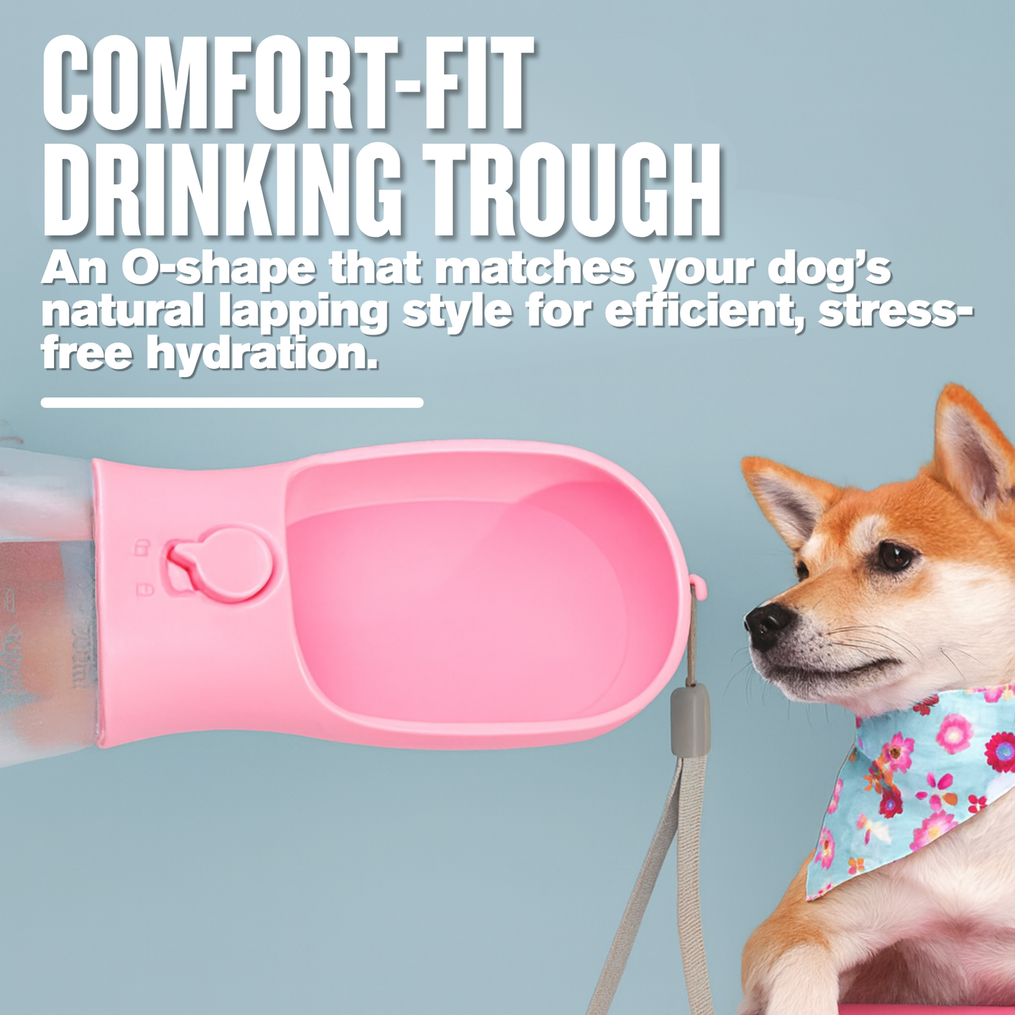 Finally, The Pet Bottle That Does It All — Hydrate, Feed & Clean Instantly 🐾